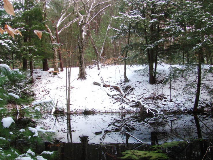 ???????????????????????????????