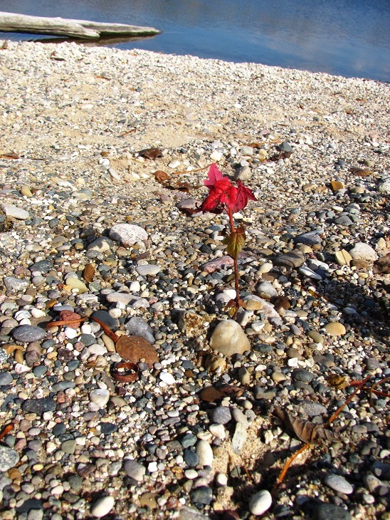 ???????????????????????????????