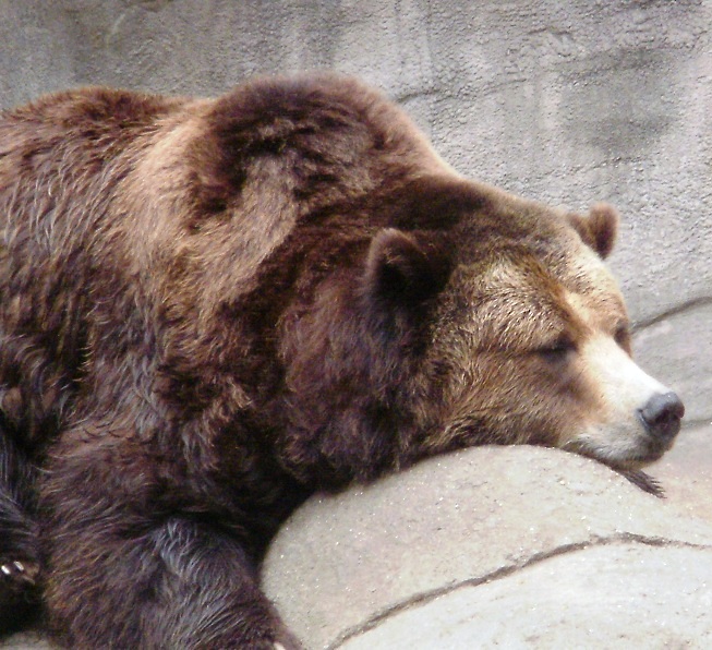 ???????????????????????????????