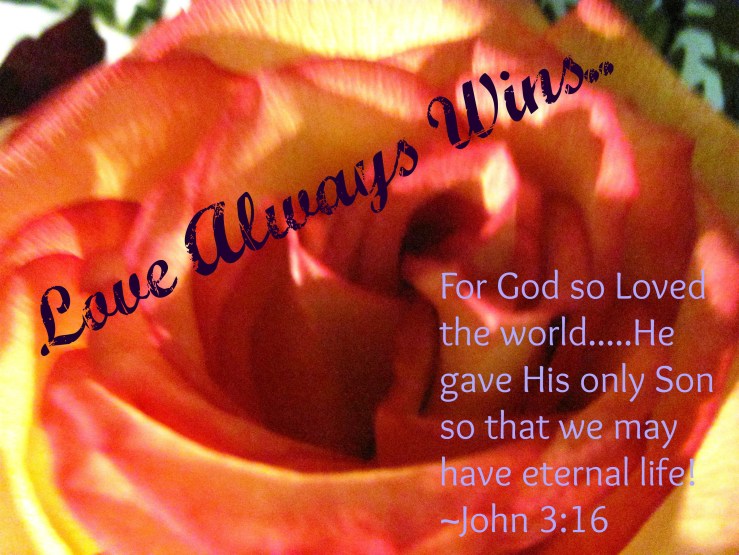 ???????????????????????????????