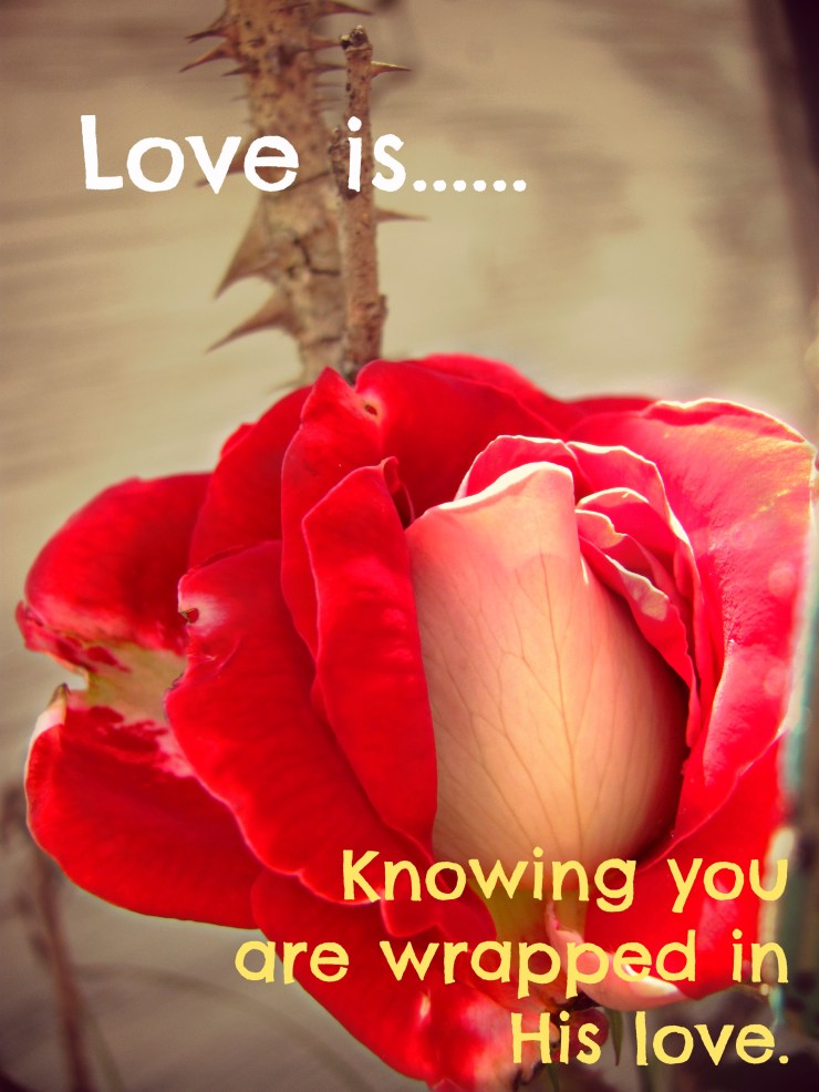 ???????????????????????????????