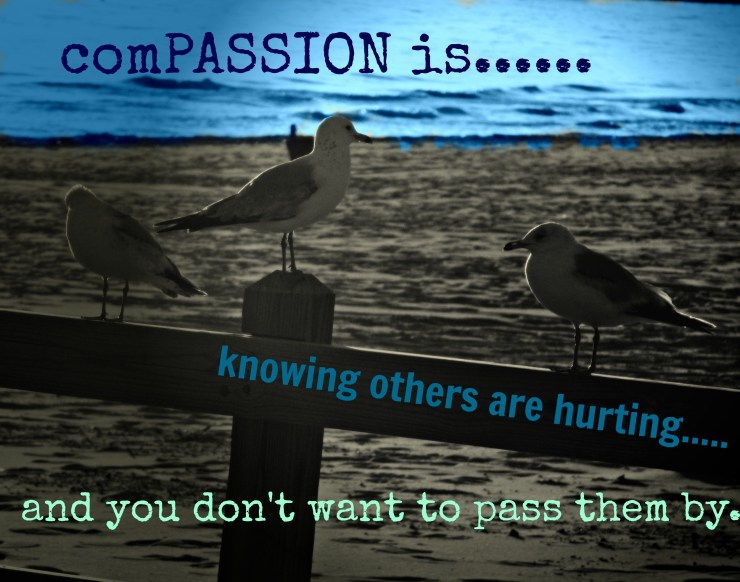 018compassion