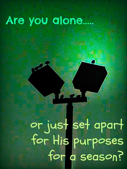 1097696_10200849091048288_1699804235_o