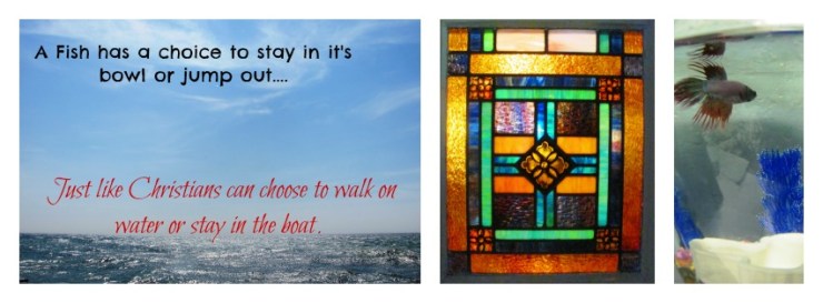 PicMonkey Collage (1)