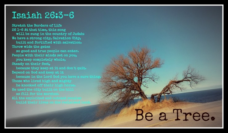 580354_10207217542175586_212213642090606367_n