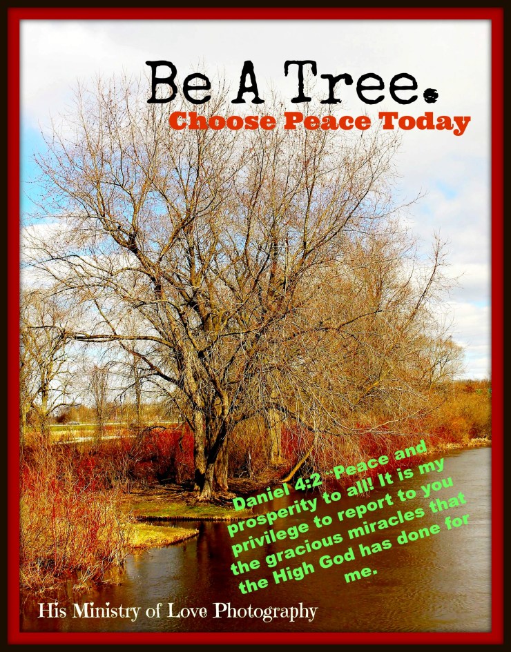 treeagain.jpg